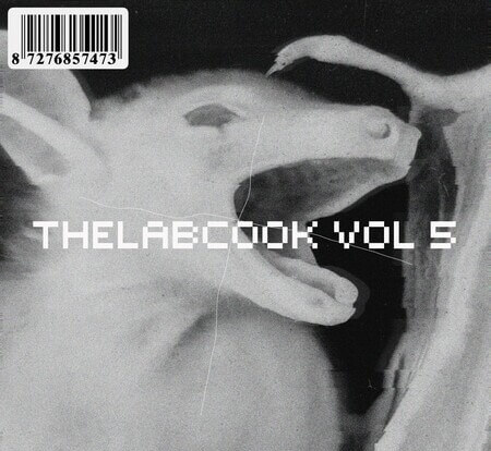 Thelabcook Drum Kit Vol.5 WAV